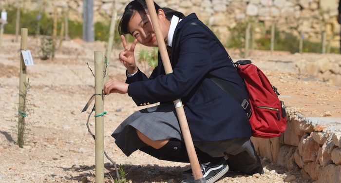 Over the past five years, Kindai students have planted 200 trees. Photo: EC English