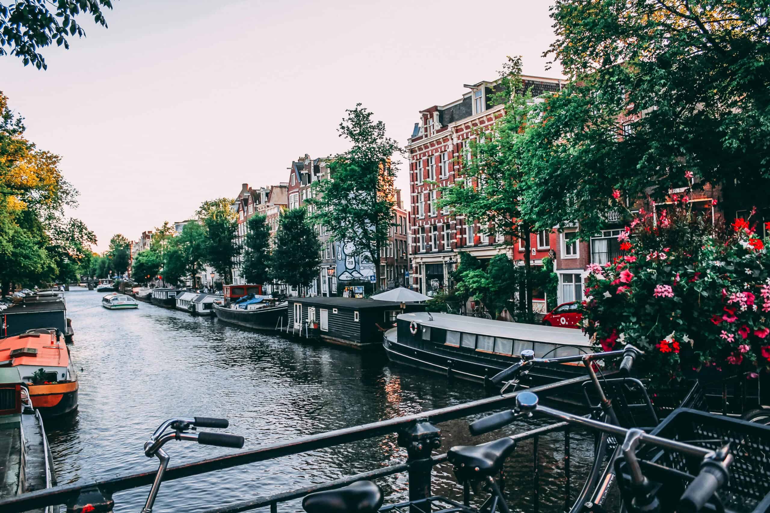 Dutch government rolls back curb on English-taught degrees